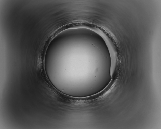 X0000093120969200710101037