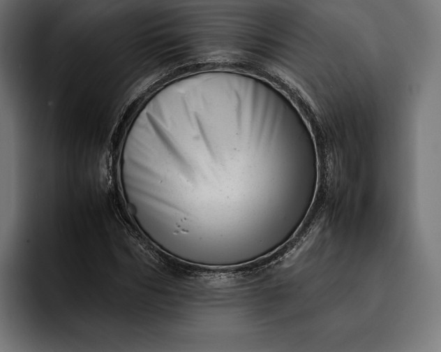 X0000093120970200710101037