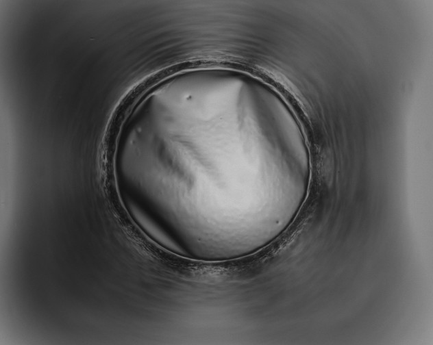 X0000093120971200710101037