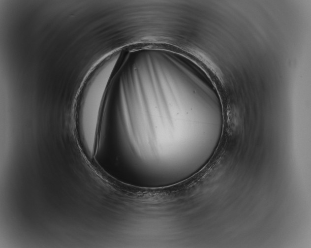 X0000093120972200710101037