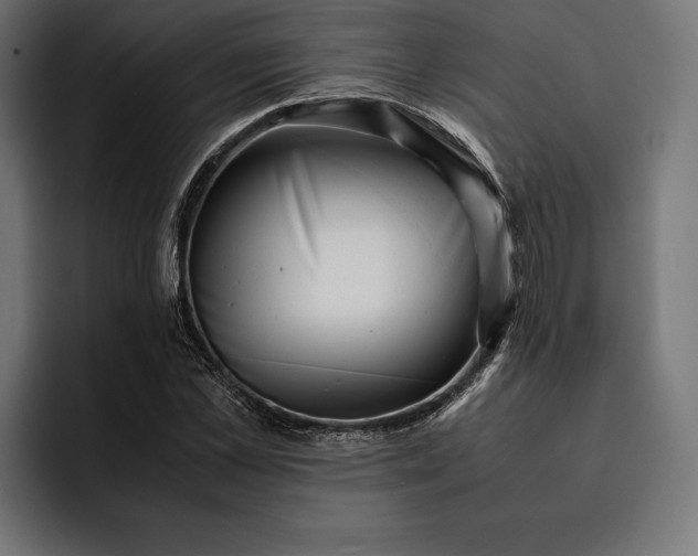 X0000093120973200710101037