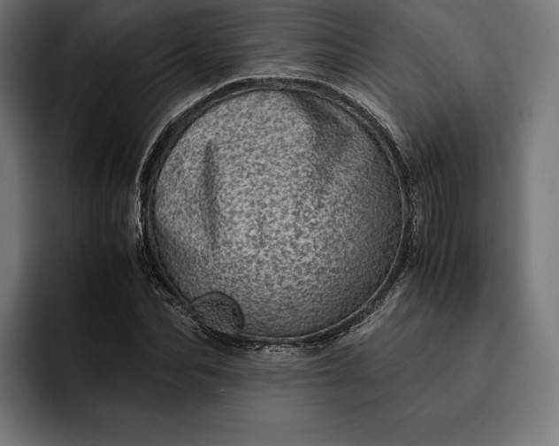 X0000093120974200710101037