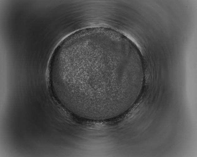 X0000093120975200710101037