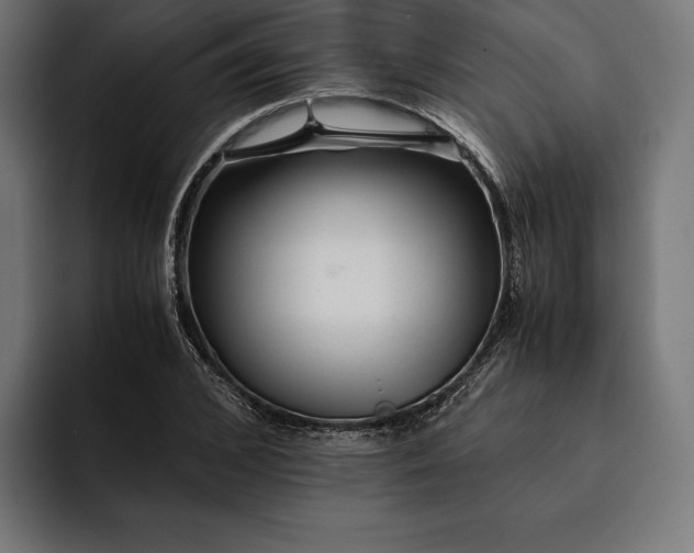 X0000093120976200710101037