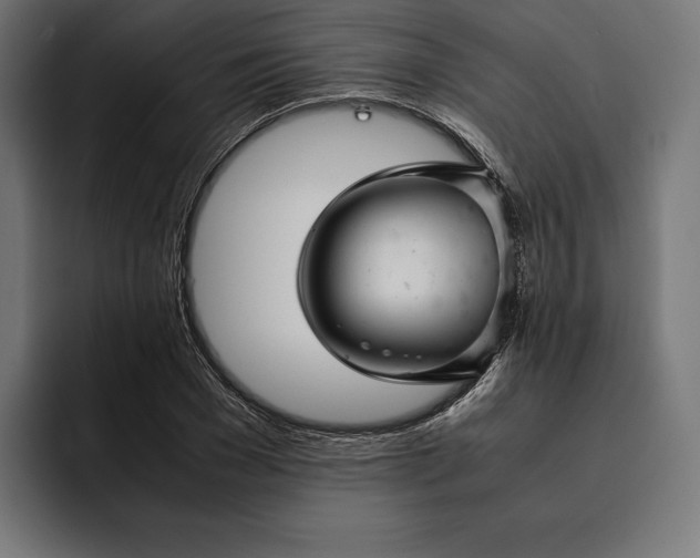 X0000093120977200710101037