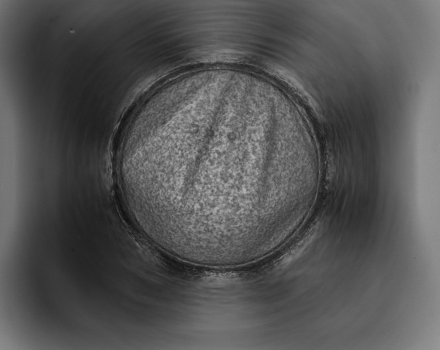 X0000093120978200710101037