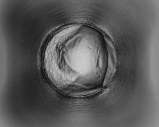 X0000093120979200710101037