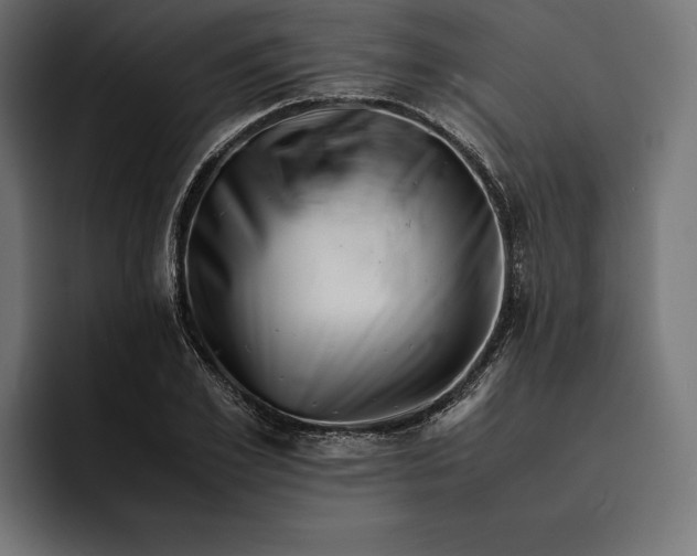 X0000093120981200710101037