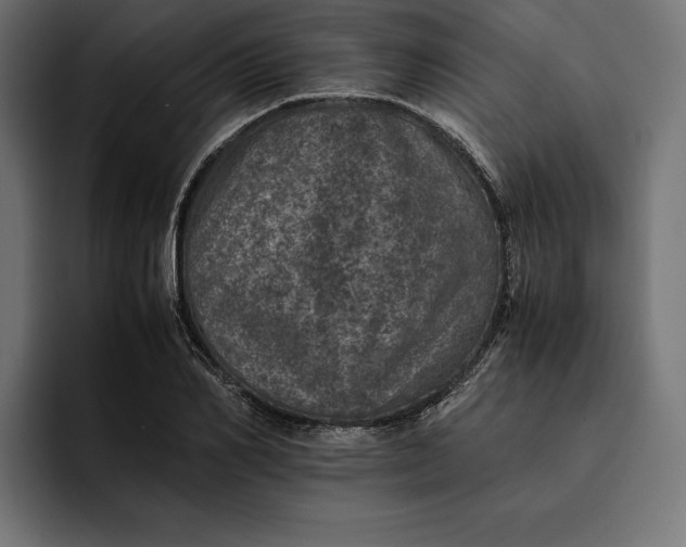 X0000093120982200710101037