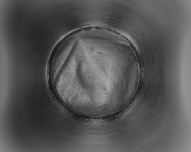 X0000093120983200710101037