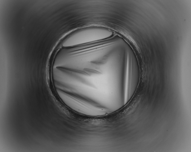 X0000093120984200710101037