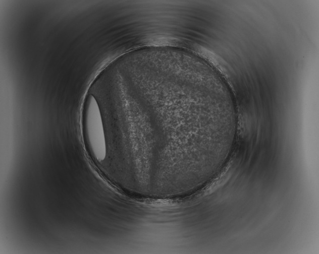 X0000093120986200710101037