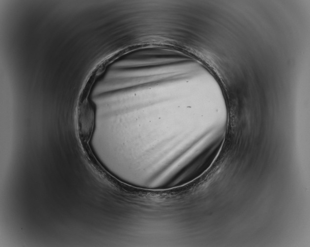 X0000093120987200710101037