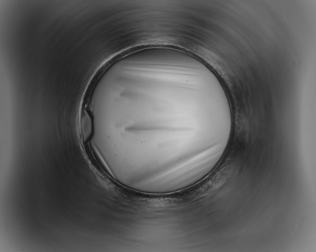 X0000093120988200710101037