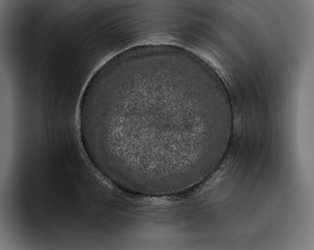 X0000093120990200710101037