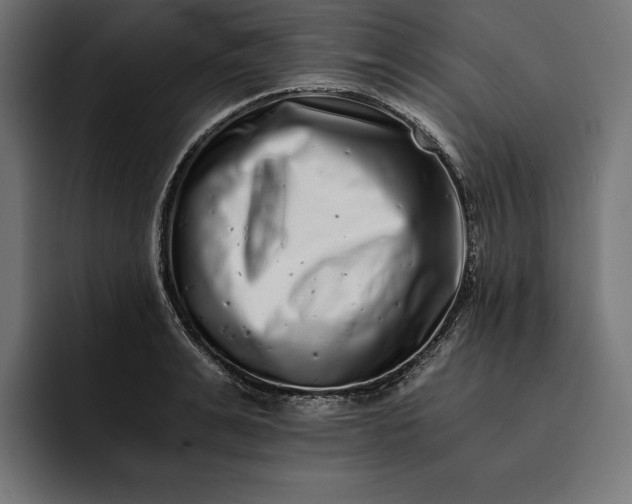 X0000093120991200710101037