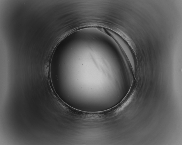 X0000093120993200710101037