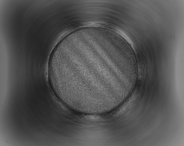 X0000093120994200710101037