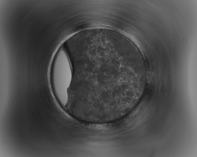 X0000093120995200710101037