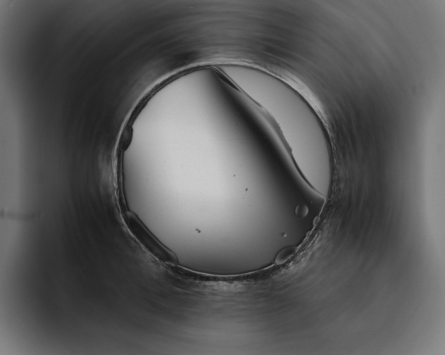 X0000093120996200710101037