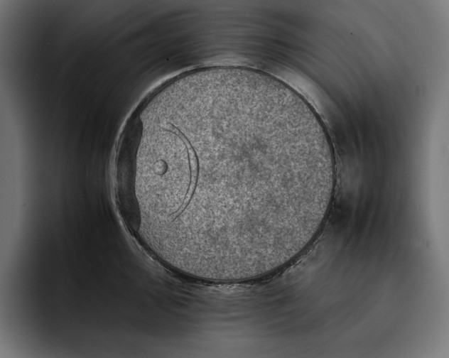 X0000093121000200710101037