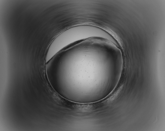 X0000093121001200710101037