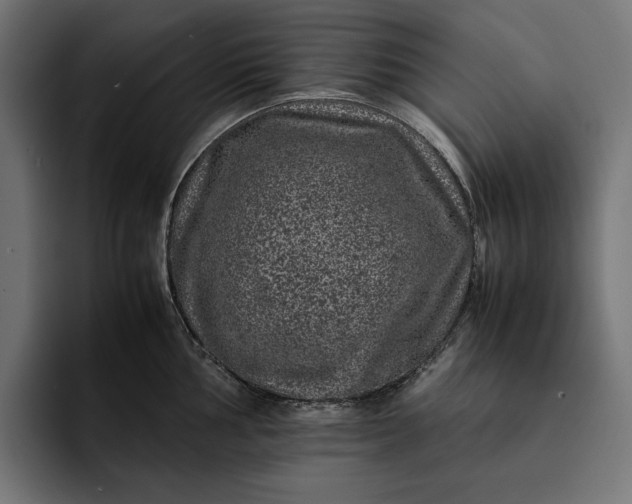 X0000093121002200710101037