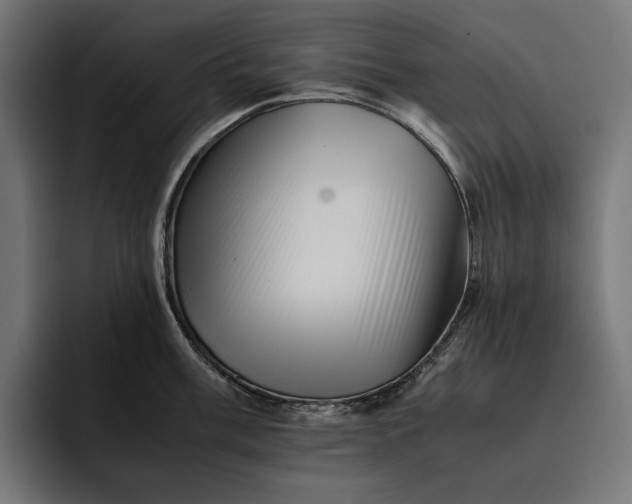 X0000093121003200710101037