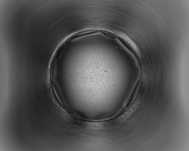 X0000093121004200710101037