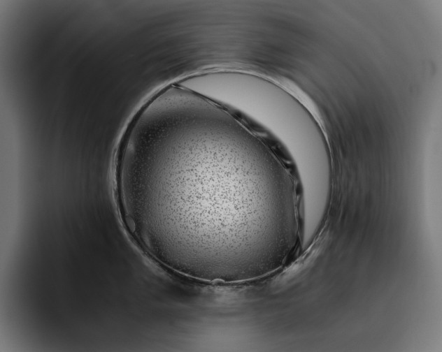 X0000093121005200710101037