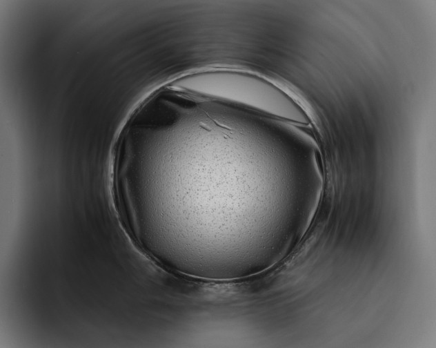 X0000093121006200710101037