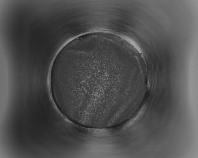 X0000093121007200710101037