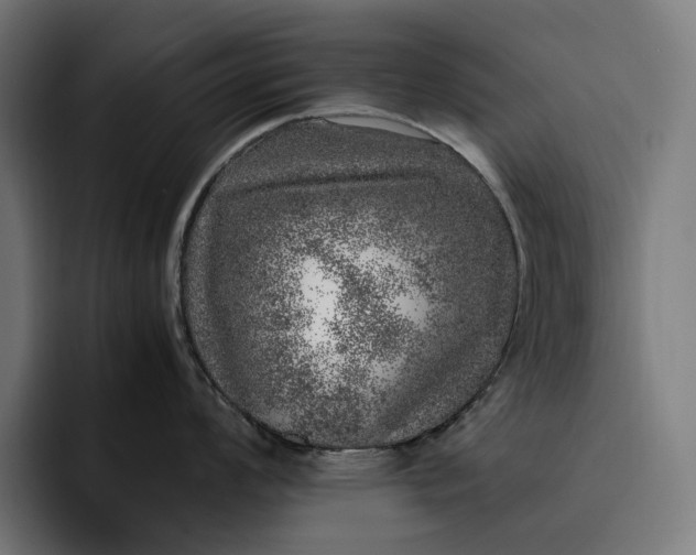 X0000093121008200710101037