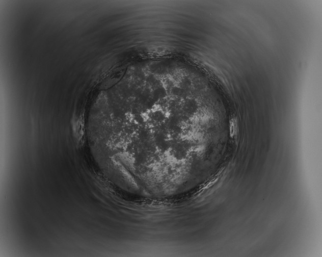 X0000093121011200710101036