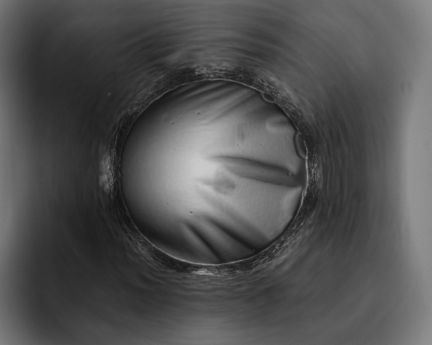 X0000093121012200710101036