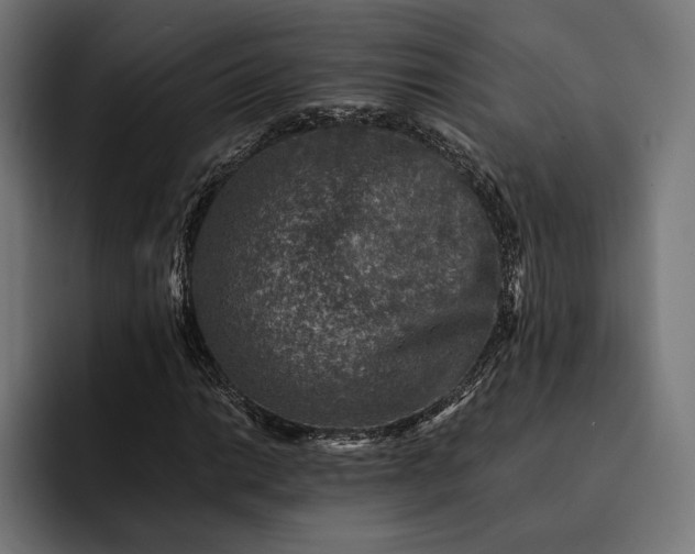 X0000093121014200710101036