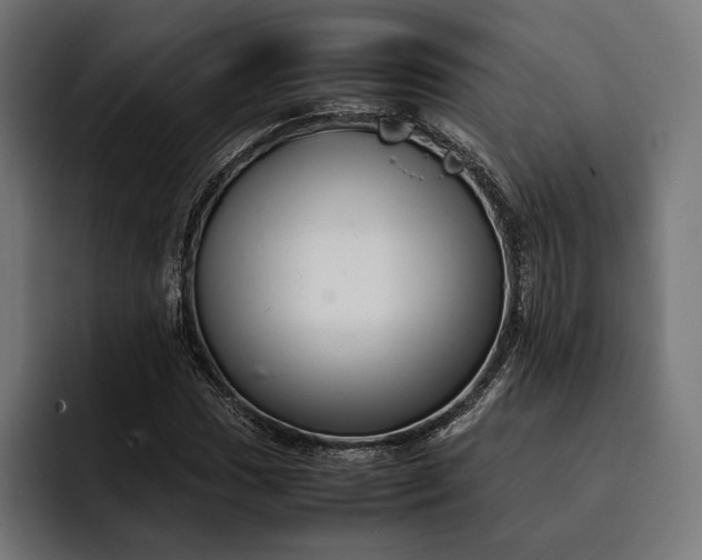 X0000093121017200710101036