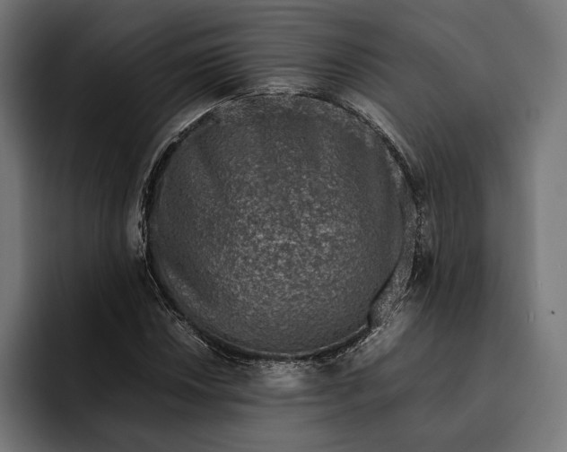 X0000093121018200710101036