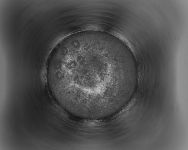 X0000093121019200710101036