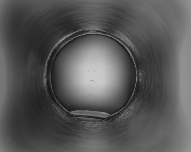 X0000093121020200710101036