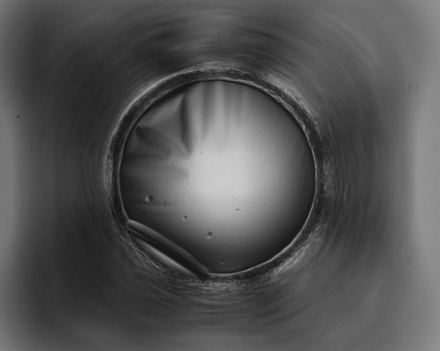 X0000093121021200710101036