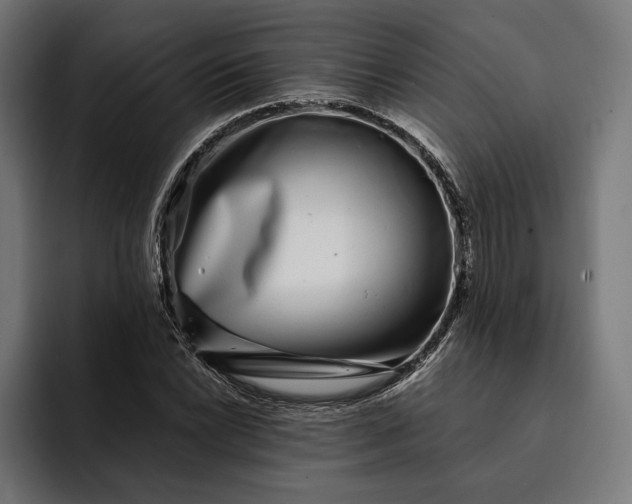 X0000093121022200710101036