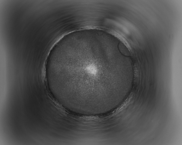 X0000093121023200710101036