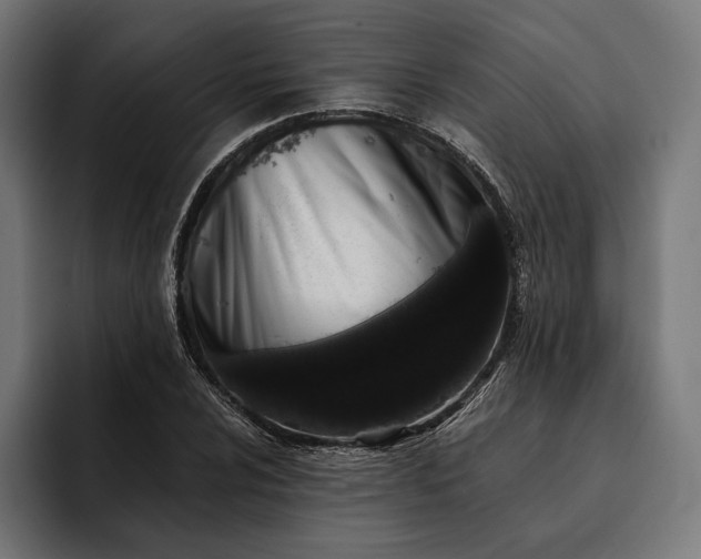 X0000093121024200710101036