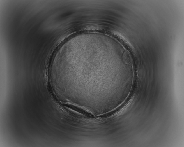 X0000093121025200710101036