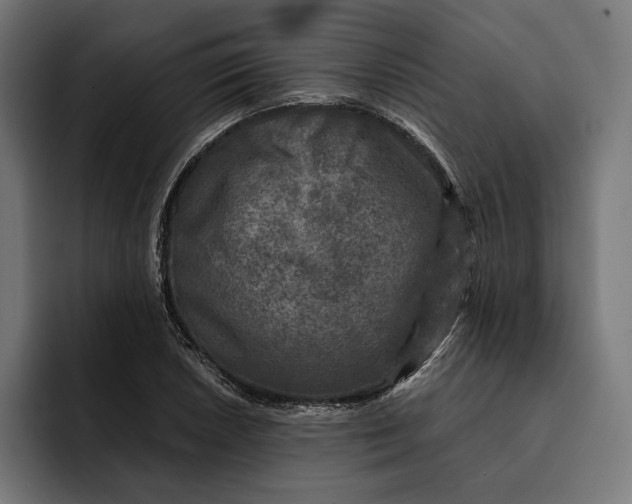 X0000093121026200710101036