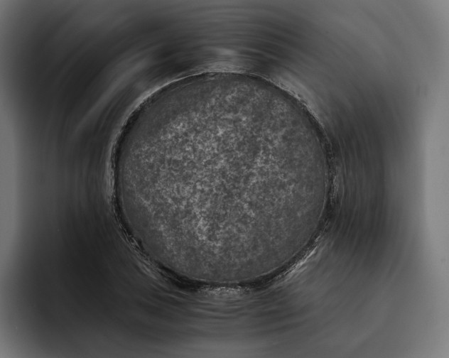 X0000093121027200710101036