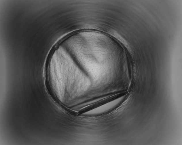 X0000093121028200710101036