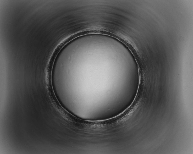 X0000093121029200710101036