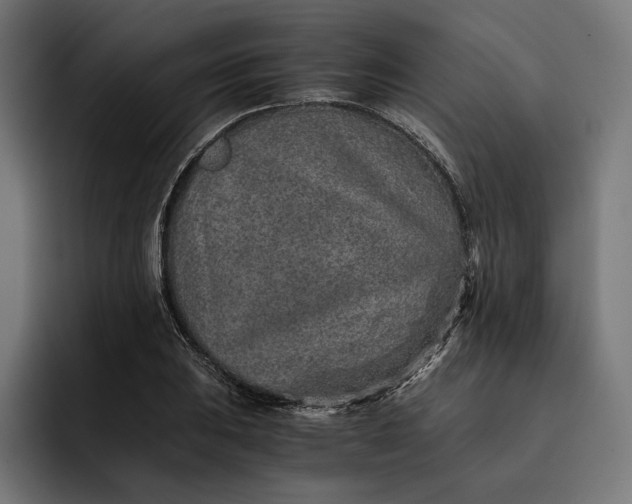 X0000093121031200710101036